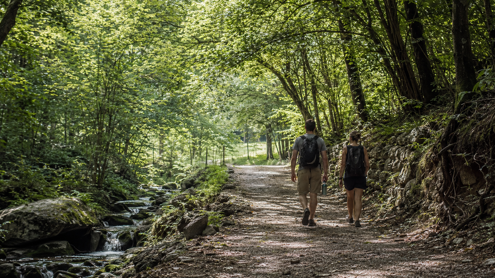 Dove trovare fresco vicino a Ponte Lambro: 5 passeggiate tra boschi, laghi e ruscelli
